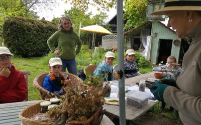 Minigärtner im Überlinger Landgarten