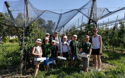 Beerenjagd auf dem Obsthof Romer