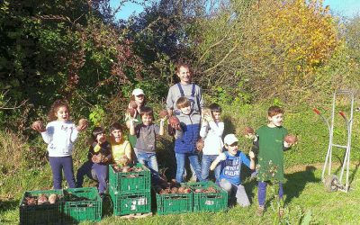 Auf die Rüben – fertig – los!