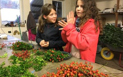 Minigärtner Heilbronn starten ganz herbstlich