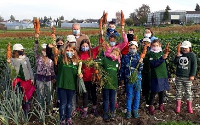 Kleine Gärtner – großes Gemüse