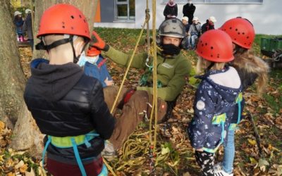 Minigärtner auf dem Baum(pflegeportal)