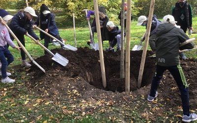 Minigärtner pflanzen Wunschbaum