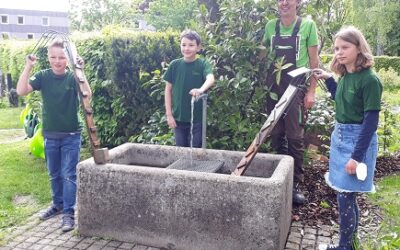 Minigärtner helfen Insekten