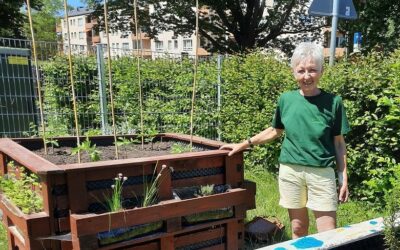 Neues Grün für die Hochbeete