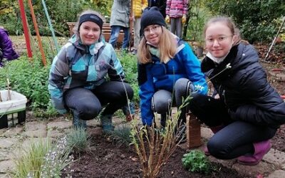 Neue Stauden für den Schulgarten