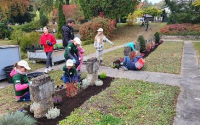 Minigärtner bepflanzen Friedhofsbeete