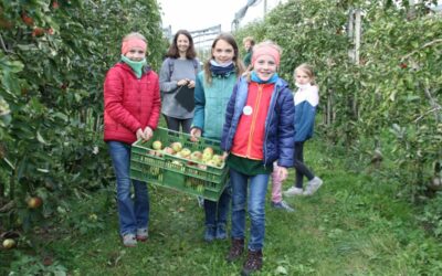Minigärtner Radolfzell suchen Verstärkung
