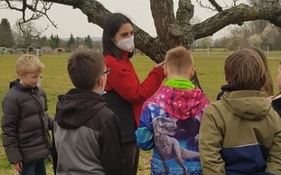 Spurensuche auf der Streuobstwiese