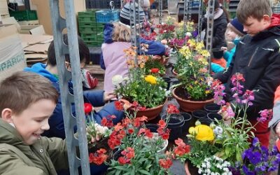 Bunte Blumenschalen für Zuhause