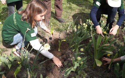 In den Frühling mit dem Profi