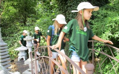 Überlinger Minigärtner gehen pikieren