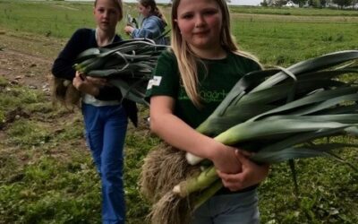 Voll Bock auf Gemüse