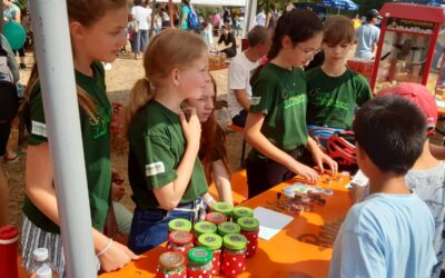 Memory für Schnuppernasen