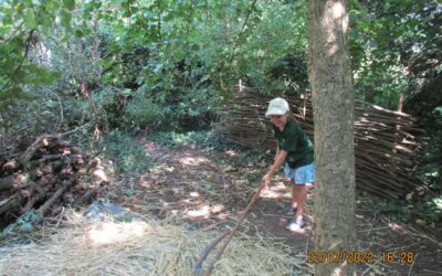 Minigärtner ernten Getreide