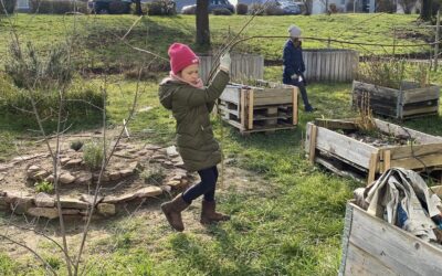 Weidenhandwerk im Schulgarten