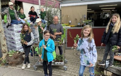 Von der Kartoffel bis zur Tulpe