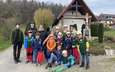 Nachmittag im Wald
