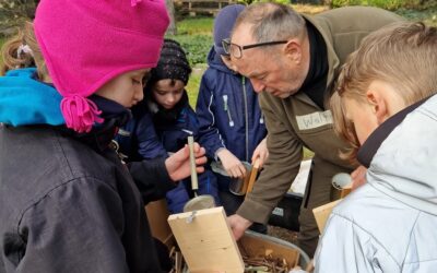 Kleine Wildbienenchecker