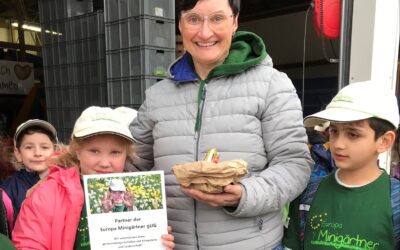 Minigärtner bei den Kartoffelprofis