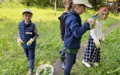 Brennnesselalarm im Grünwerk-Garten
