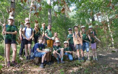 Erfrischende Expedition in den Wald