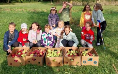 Selbstgepresster Apfelsaft beim Apfelfest