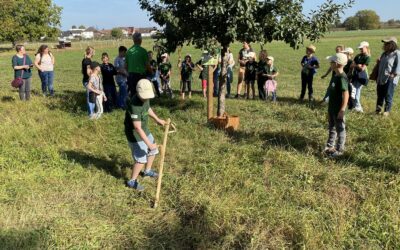 Minigärtner Forst auf dem Biodiversitätspfad