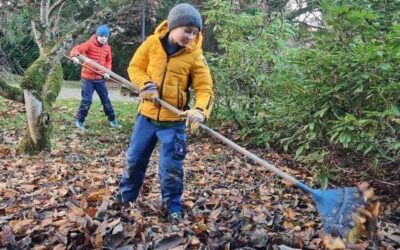 Lindauer Minis machen Park winterfest