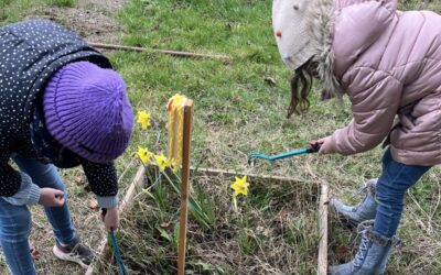 Minigärtner begrüßen den Frühling