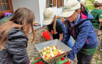 Flüssiger Apfel – voll bio!
