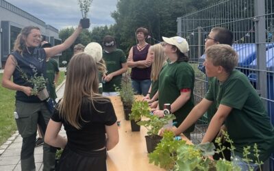 Fit für die Landesgartenschau
