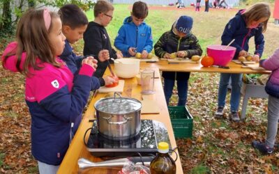Reiche Ernte im Schulgarten