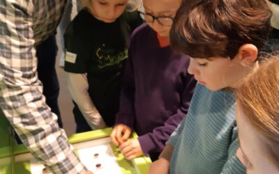 Auf Insektenexpedition