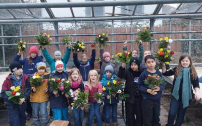 Frühe Frühlingsgrüße aus Ludwigsburg