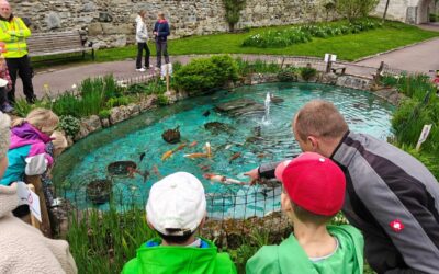 Gärtnern wie ein Fisch im Wasser