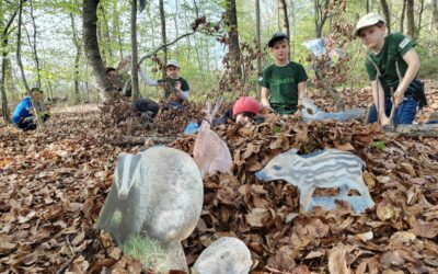Abenteuer im Wald