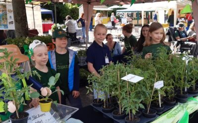 Minigärtner rocken Bauernmarkt